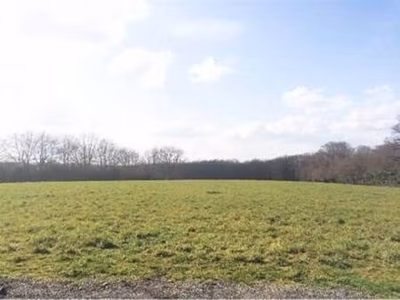 terrain constructible viabilisé à vendre