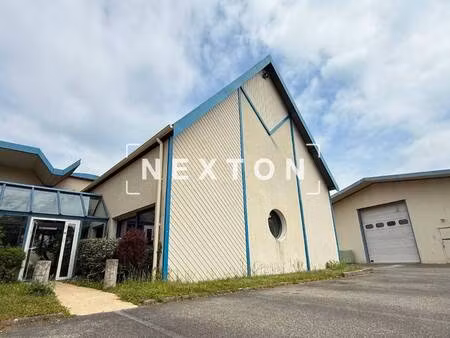 nexton immobilier