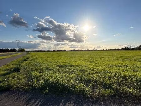 terrain constructible viabilisé à vendre