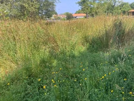 terrain constructible viabilisé à vendre
