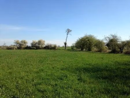 terrain constructible viabilisé à vendre