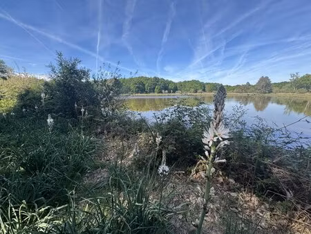 etang