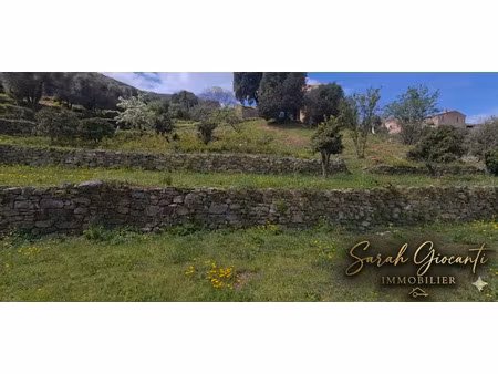 vente terrain 1110 m² alata (20167)