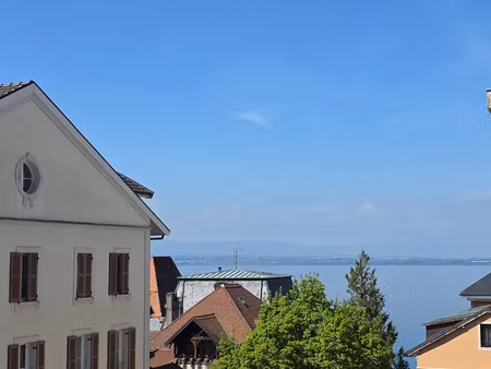 t2 60 m2 vue lac + parking hyper centre évian-les-bains