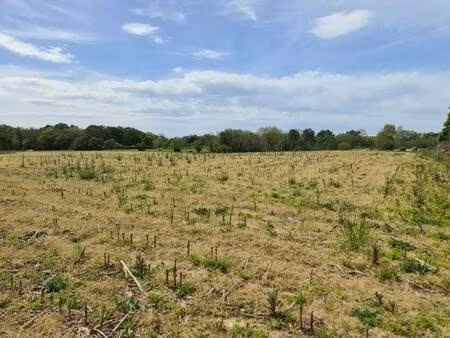 terrain constructible viabilisé à vendre