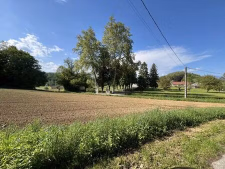 terrain constructible viabilisé à vendre
