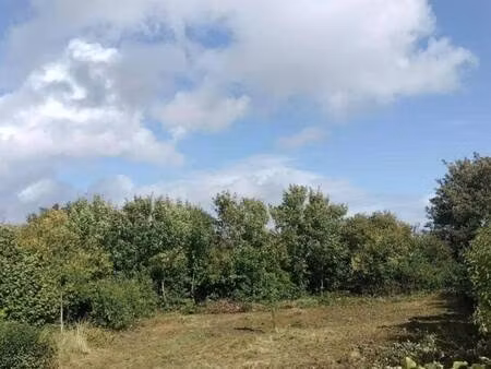 terrain constructible à vendre