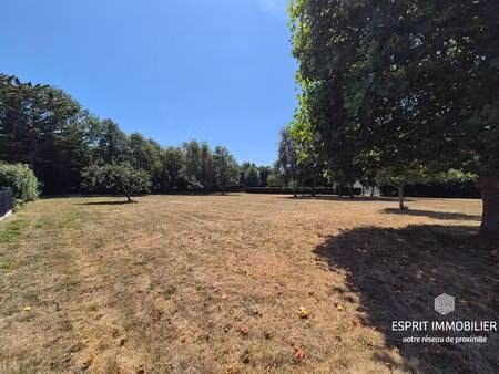 terrain constructible viabilisé à vendre