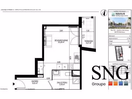 s.n.g immobilier