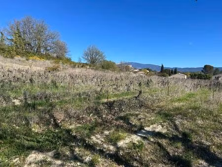 voconce immobilier