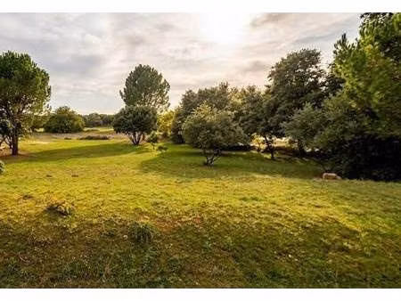 terrain constructible à vendre