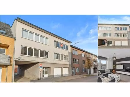 appartement à louer à eersels 109 tessenderlo (rbv83013)