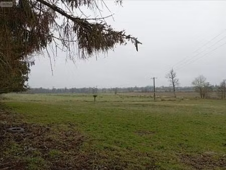 terrain agricole à vendre