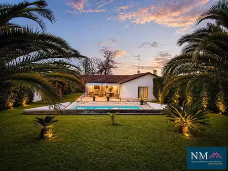 nm immobilier
