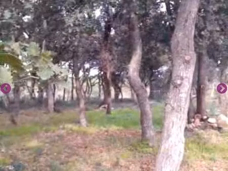 terrain > 1700 m2