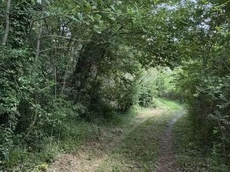 terrain à vendre