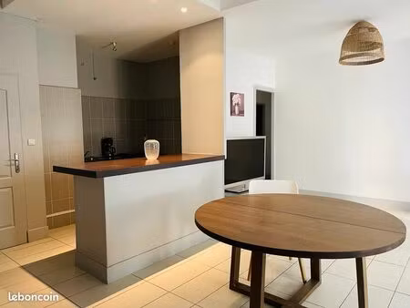 appartement t3 republique/cordelier