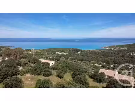 terrain avec vue sur mer corbara - 3119m²