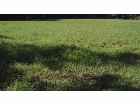 vente terrain 750 m² à occagnes (61200)  38 250 €