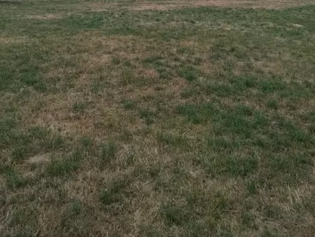 vente terrain 1500 m² à montilly-sur-noireau (61100)  30 250 €