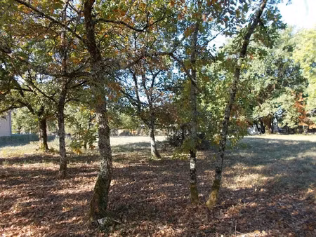 vente terrain 1650 m² à lachapelle-auzac (46200)  46 200 €