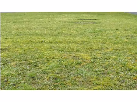 vente terrain 649 m² à passais villages (61350)  6 490 €