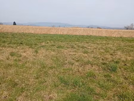 vente terrain 884 m² à annonay (07100)  60 000 €