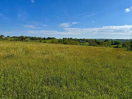 vente terrain 2100 m² à sainte-juliette-sur-viaur (12120)  80 000 €