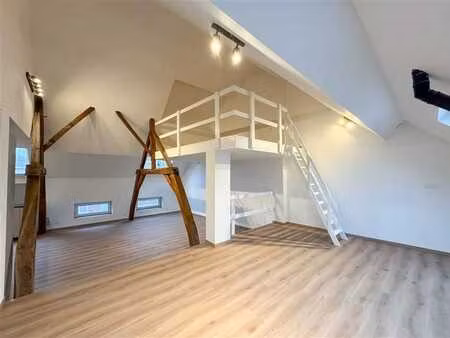 magnifique appartement entièrement rénové en 2025