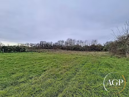 vente terrain 11063 m² à briare (45250)  221 500 €