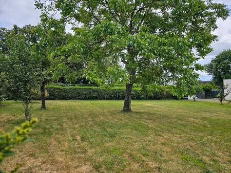 vente terrain  569.00m²  briollay