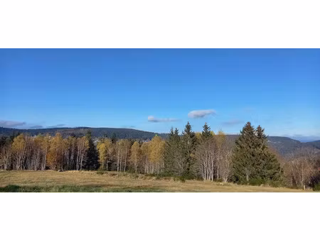 vente terrain à batir 2099 m² à gerardmer (88400)  130 000 €