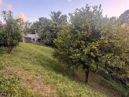 vente terrain 752 m² à le lamentin (97232)  100 000 €