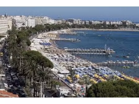 vente commerce 75 m² cannes (06400)