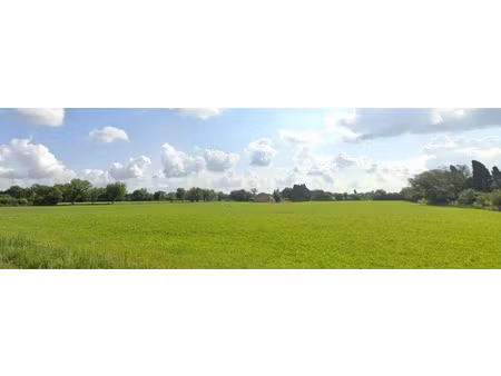 vente terrain 1070 m² à saint-martin-de-crau (13310)  229 900 €