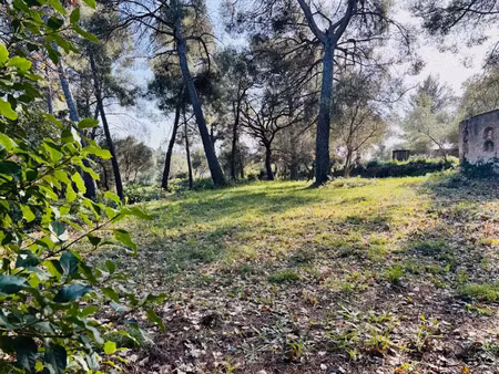 vente terrain 769 m² à ollioules (83190)  285 000 €
