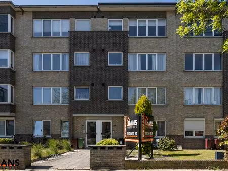 appartement à louer à schoten € 950 (lnw6f) - hans vastgoed | zimmo
