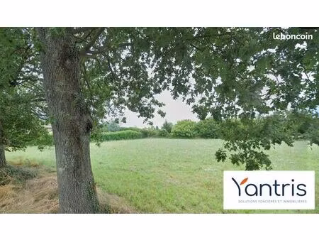 terrain 1090 m² martres-tolosane