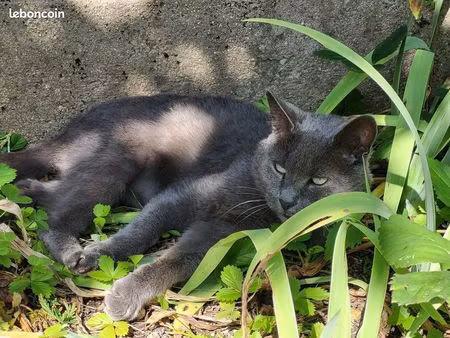 recherche location maison