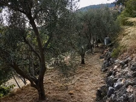 terrain 140 m2 non constructible pour jardin avec oliviers à spéracèdes