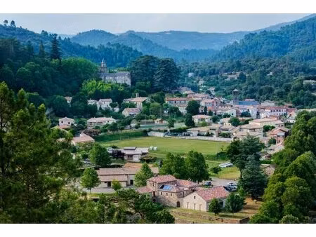 maison authentique avec terrain coeur de village