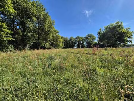 vente terrain à missiriac (56140) : à vendre / 709m² missiriac