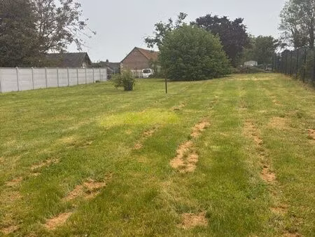 terrain plat constructible