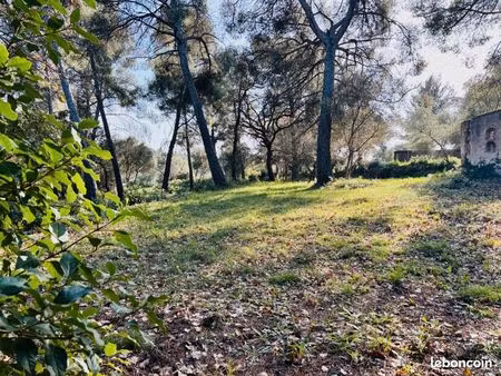 terrain 769 m² ollioules