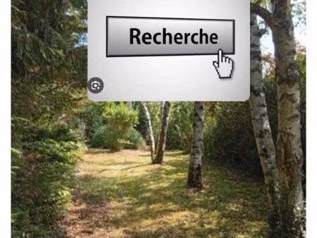 je recherche un terrain