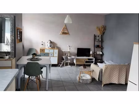 location appartement 2 pièces 45 m² à vierzon (18100)  450 €