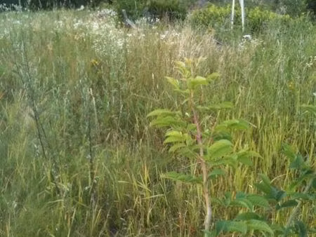 je cherche un petit terrain