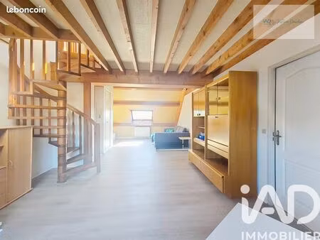 loft/atelier/surface 2 pièces 58 m²