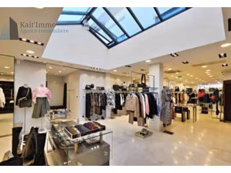 local commerciale + penthouse en plein coeur de la zone du li