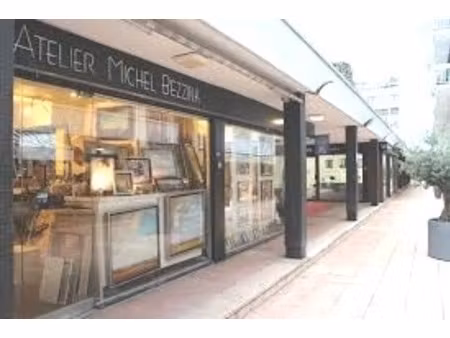 vente local commercial  2 pièces  surface minimum 44m²